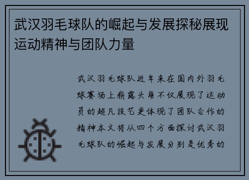 武汉羽毛球队的崛起与发展探秘展现运动精神与团队力量